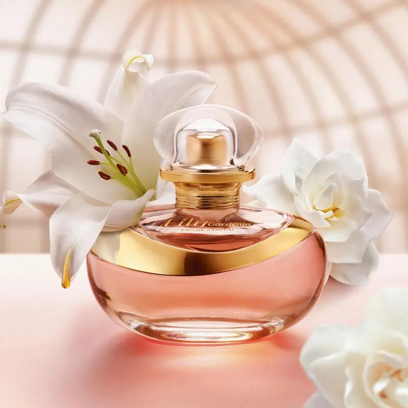 عطر ادکلن لیلی گاردنیا اوبوتیکاریو - Lily Gardénia O Boticário - بررسی، قیمت و خرید