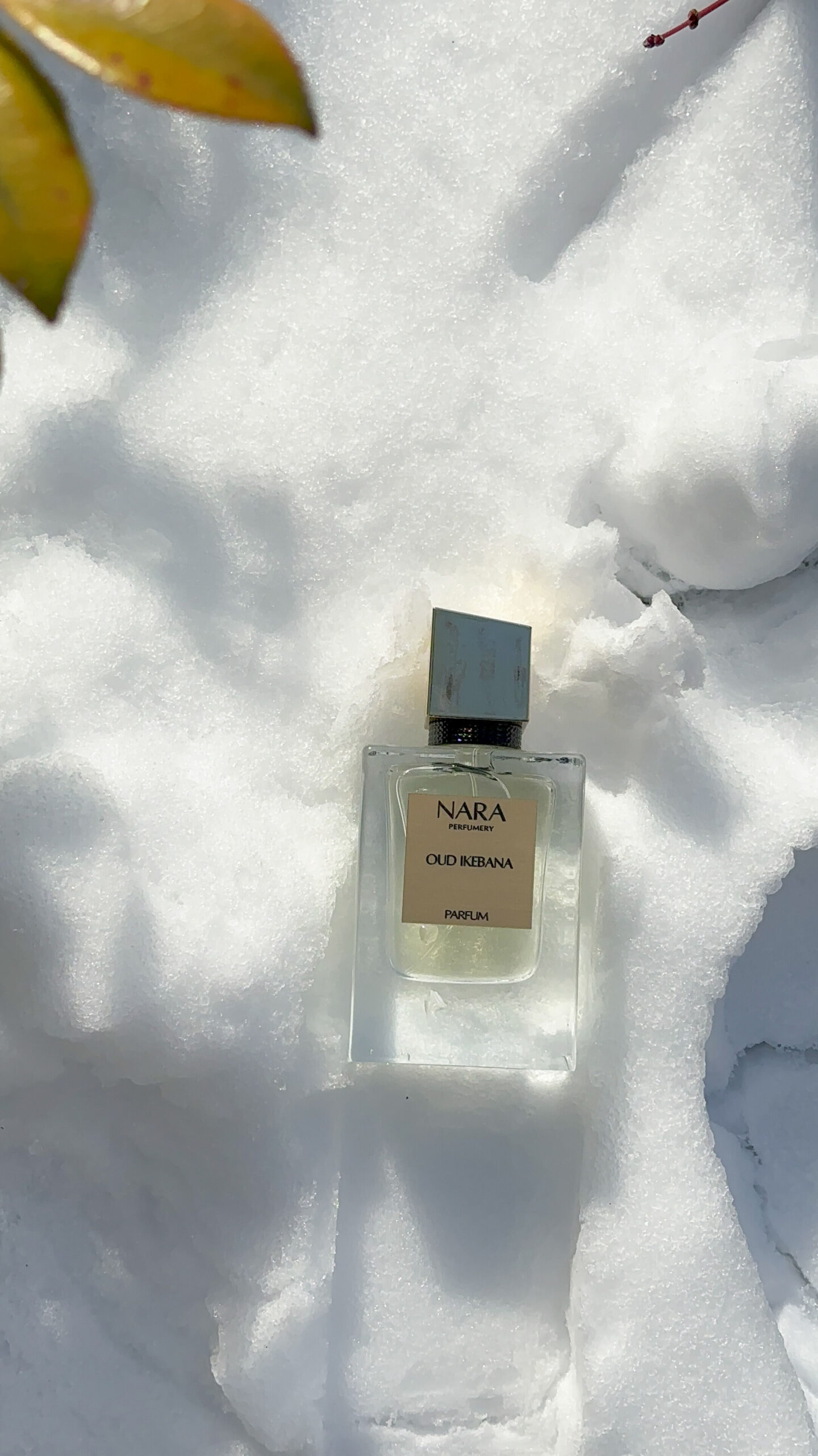 عطر ادکلن عود ایبانا نارا پرفیومری - Oud Ikebana Nara Perfumery - بررسی، قیمت و خرید