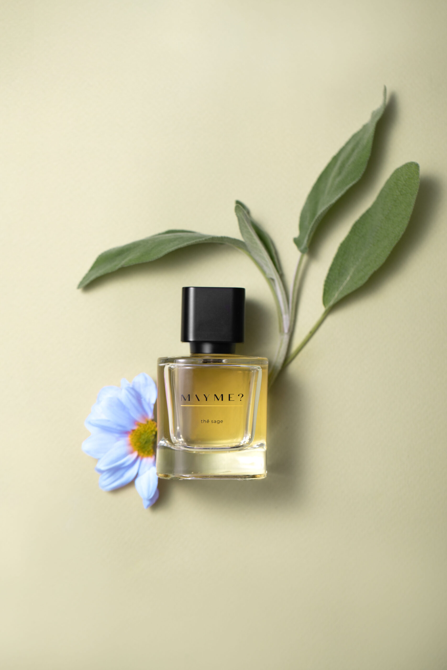 عطر ادکلن ته ساژ مِیم - Thé Sage MAYME? - بررسی، قیمت و خرید