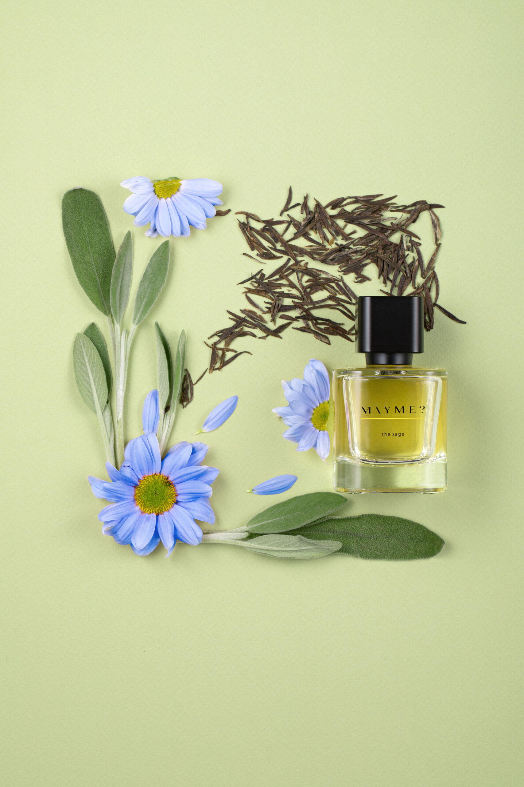 عطر ادکلن ته ساژ مِیم - Thé Sage MAYME? - بررسی، قیمت و خرید