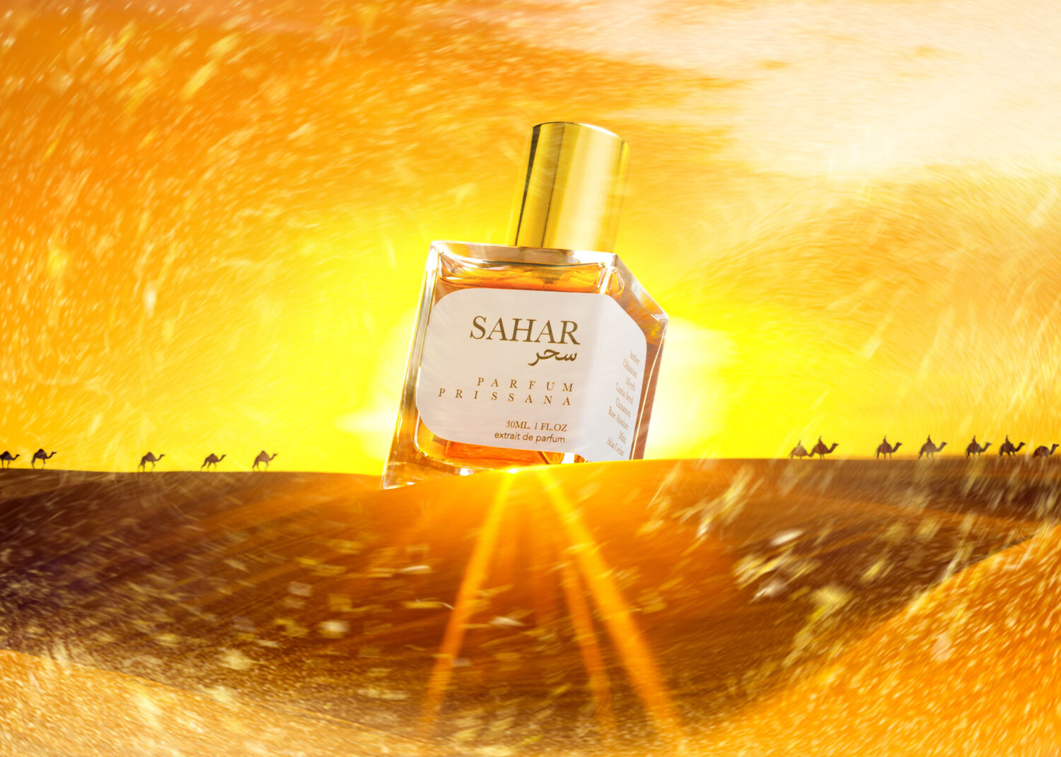 عطر ادکلن سَحَر پریسانا - Sahar سحر Prissana - بررسی، قیمت و خرید