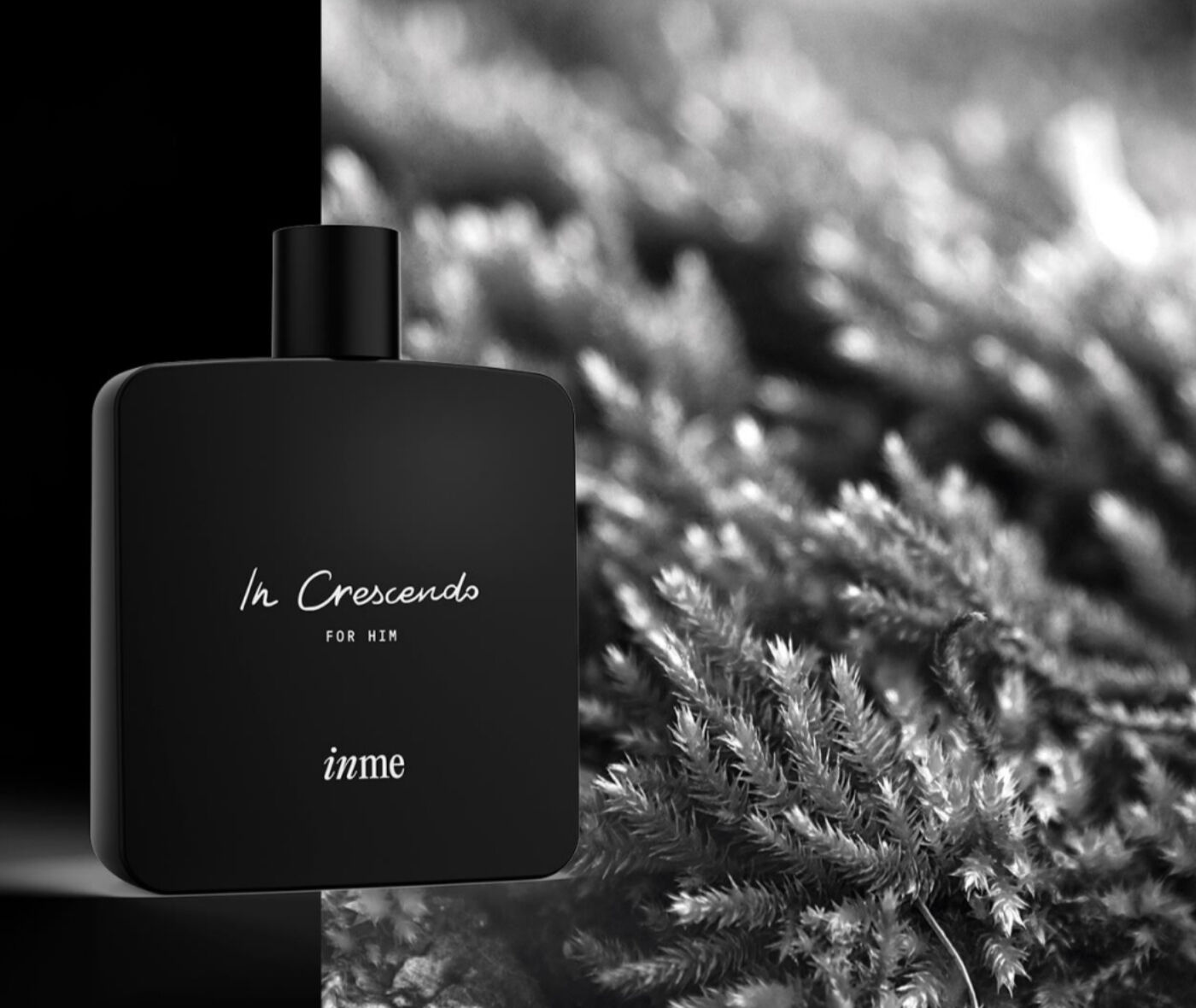 عطر ادکلن این کرشندو اینه - In Crescendo INME - بررسی، قیمت و خرید