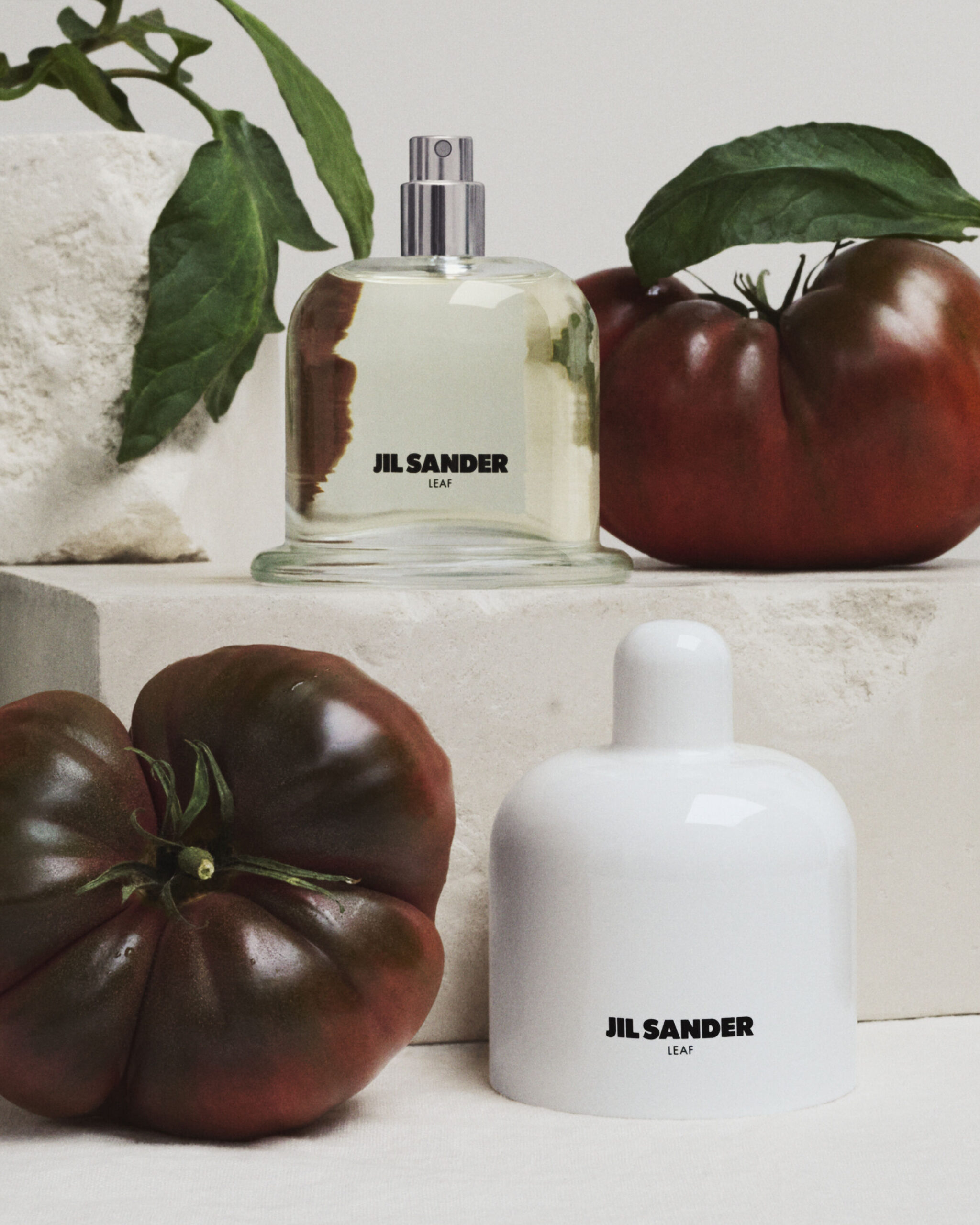 عطر ادکلن لیف جی‌ل سندر - Leaf Jil Sander - بررسی، قیمت و خرید