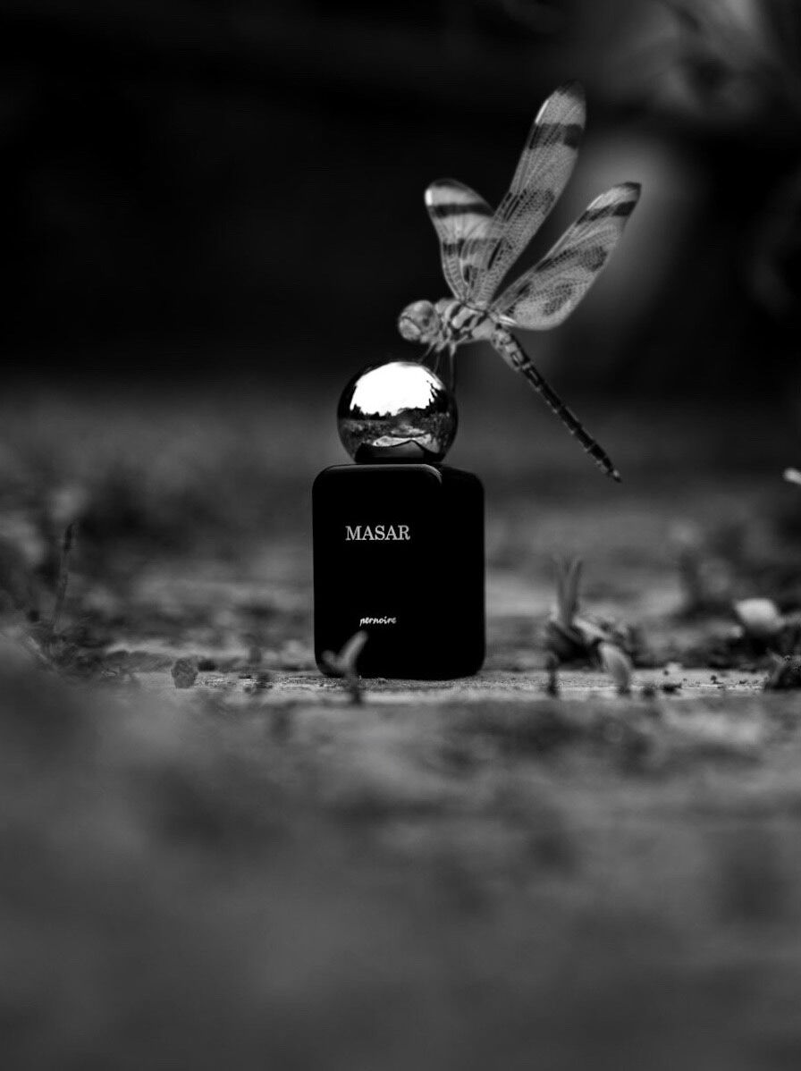 عطر ادکلن ماسار پرنوآر - Masar Pernoire - بررسی، قیمت و خرید