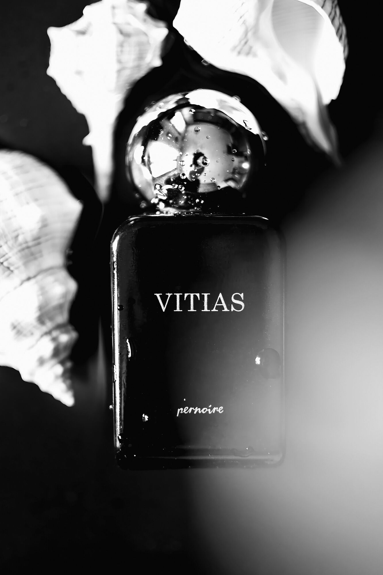 عطر ادکلن ویتایس پِرنُوآر - Vitias Pernoire - بررسی، قیمت و خرید
