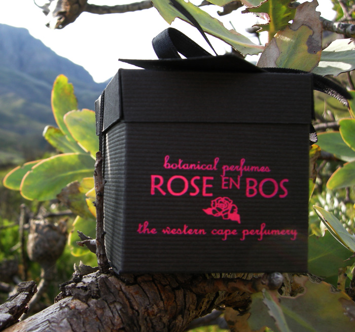 عطر ادکلن رز اند واینز رزن بوس - Rose & Vines Rose en Bos - بررسی، قیمت و خرید