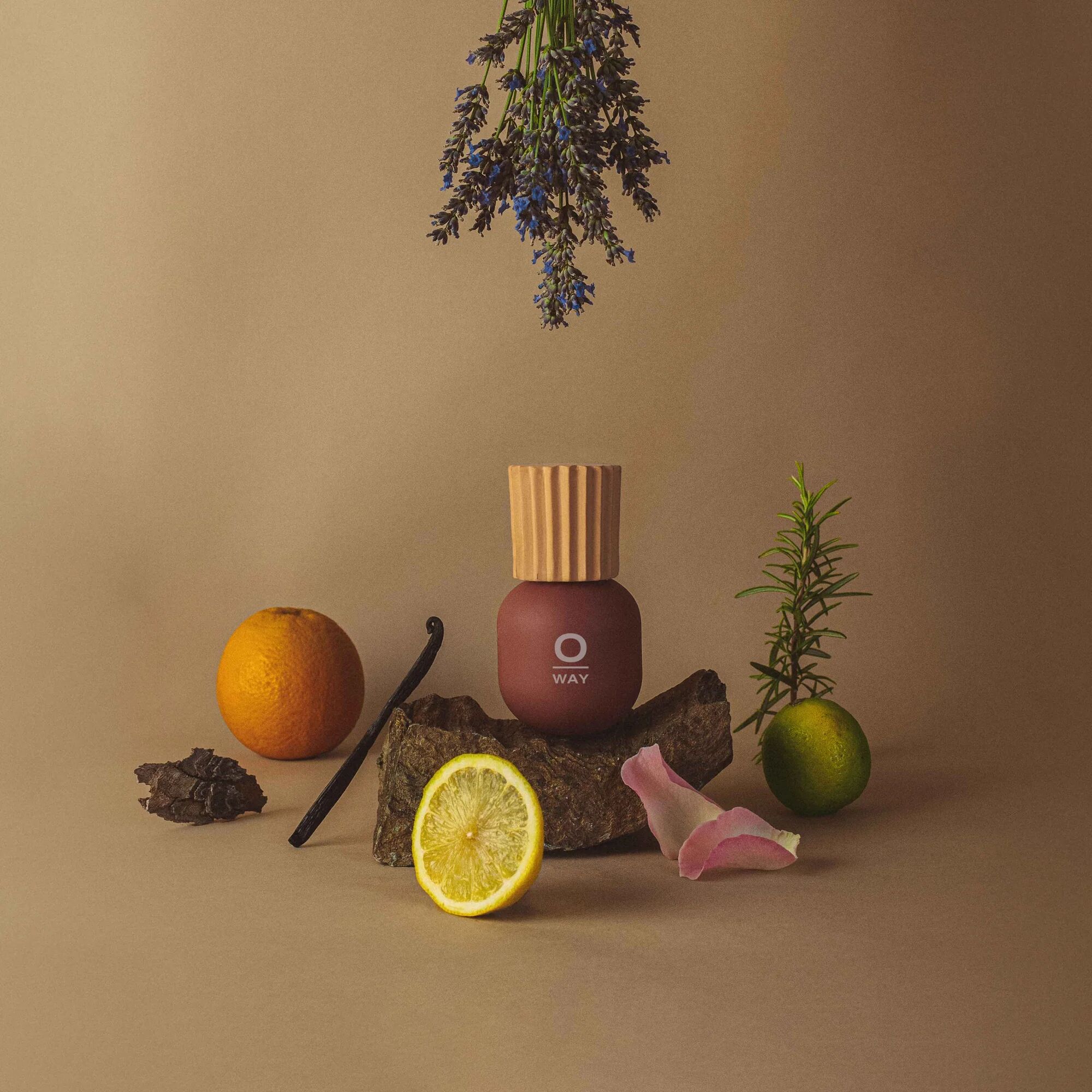 عطر ادکلن سیترس بوکه اُوِی - Citrus Bouquet Oway - بررسی، قیمت و خرید