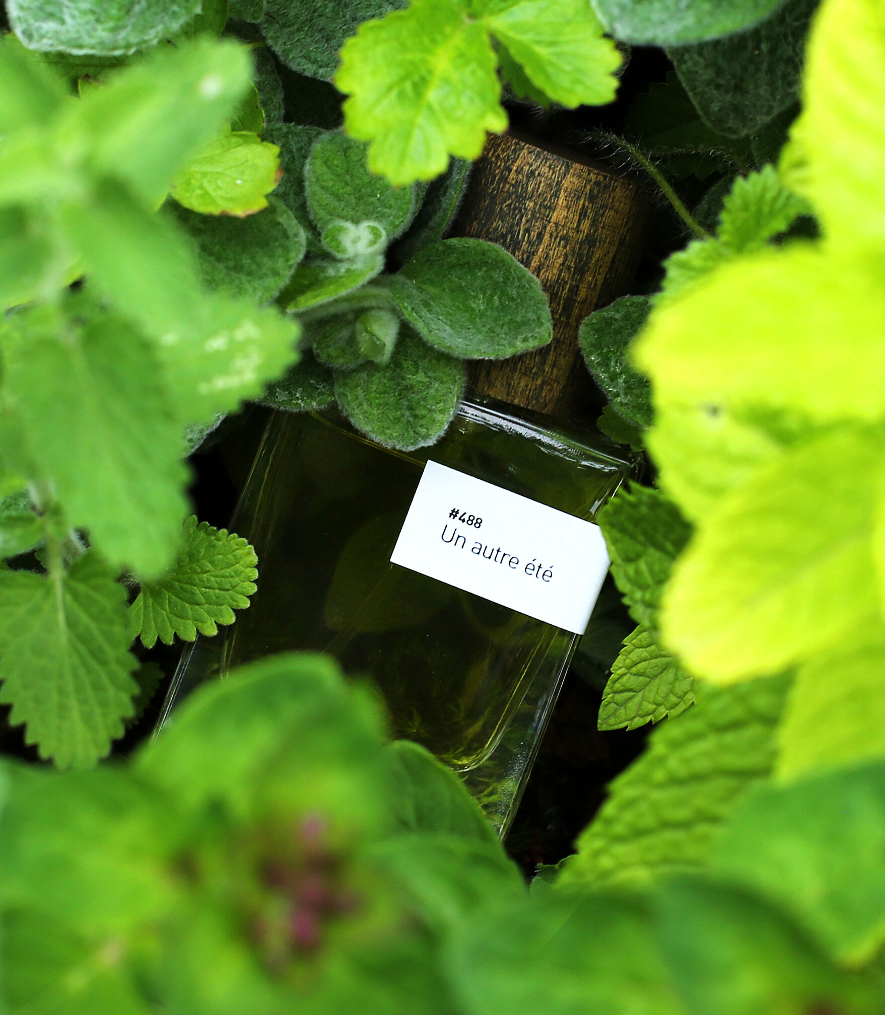 عطر ادکلن آن اُتر اِته لرینوآر - #488 Un autre été Le Ré Noir - بررسی، قیمت و خرید