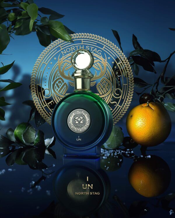 عطر ادکلن نورث استگ اکسپریشنز آی آن پاریس کورنر - North Stag Expressions I Un PARIS CORNER - بررسی، قیمت و خرید