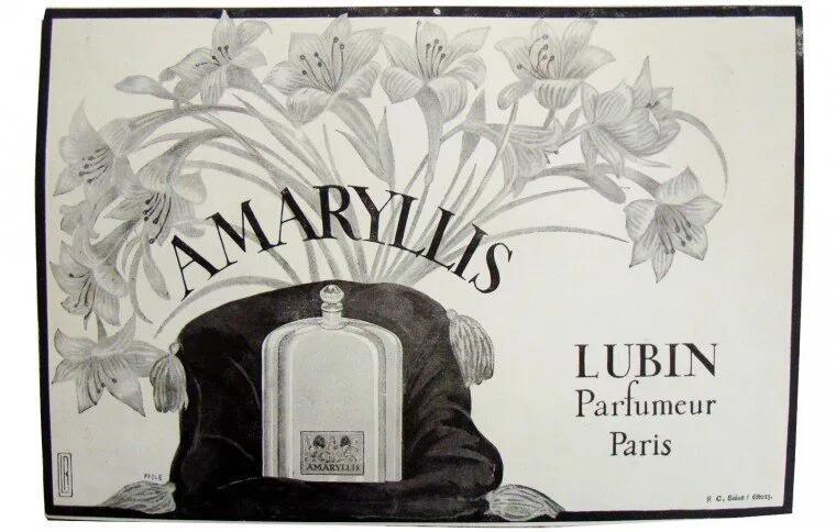 عطر ادکلن اماریلیس لوبین - Amaryllis Lubin - بررسی، قیمت و خرید
