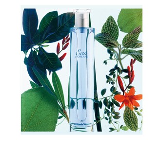 عطر ادکلن اُ دو اُرلَن اورلان - Eau d'Orlane Orlane - بررسی، قیمت و خرید