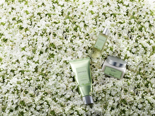 عطر ادکلن وربنا اینفیوژن لورا مرسیه - Verbena Infusion Laura Mercier - بررسی، قیمت و خرید