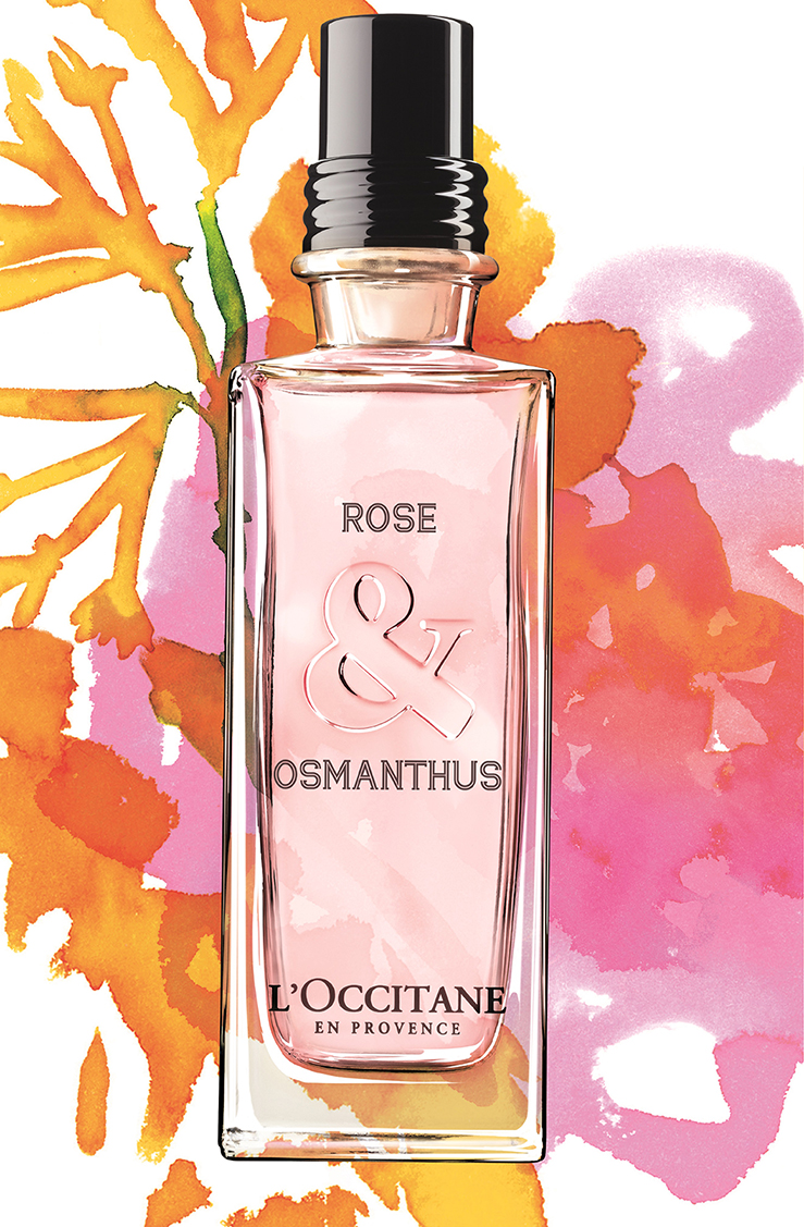 عطر ادکلن رز و عثمانتوس لوکسیتان - Rose & Osmanthus L'Occitane en Provence - بررسی، قیمت و خرید