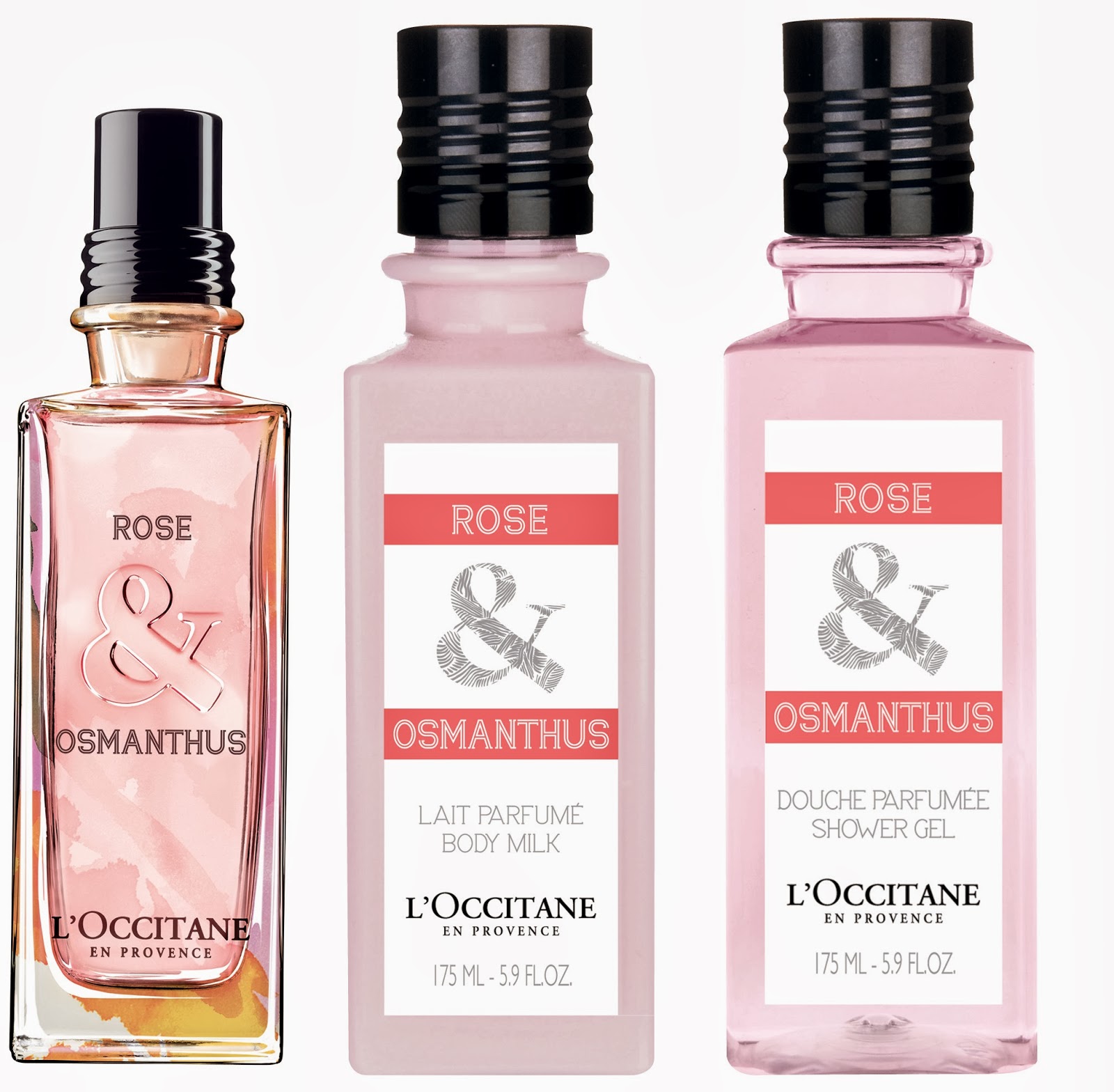 عطر ادکلن رز و عثمانتوس لوکسیتان - Rose & Osmanthus L'Occitane en Provence - بررسی، قیمت و خرید