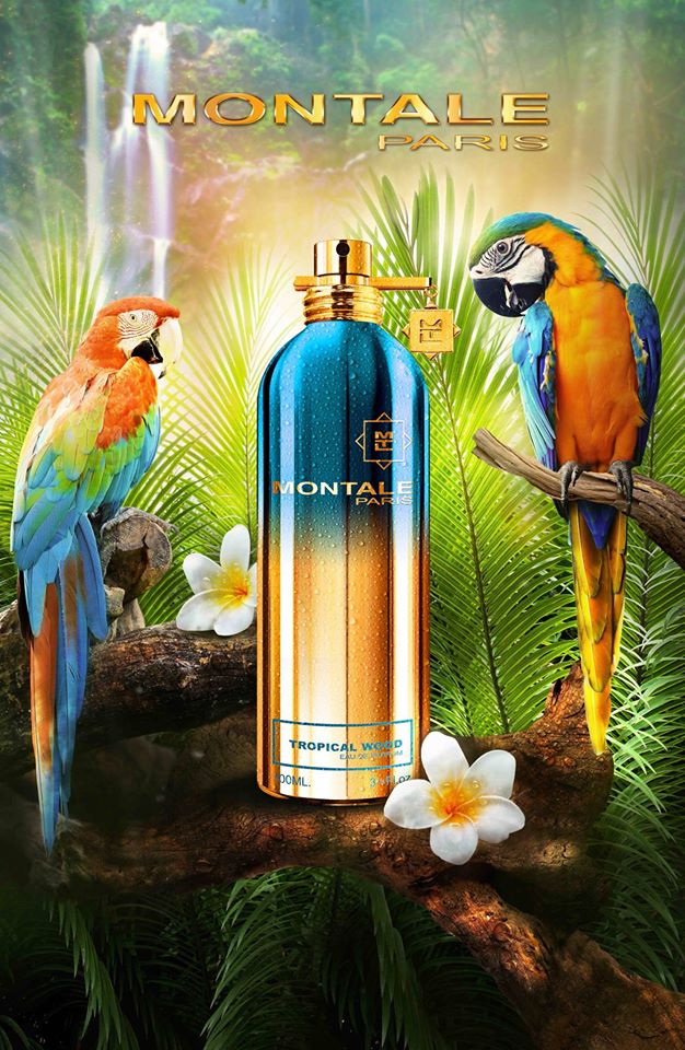 عطر ادکلن تروپیکال وود مونتال - Tropical Wood Montale - بررسی، قیمت و خرید