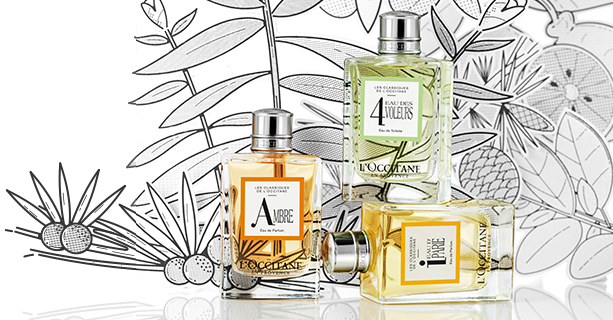 عطر ادکلن اُ دِ کَت وُلُرز لاکستان - Eau des 4 Voleurs L'Occitane en Provence - بررسی، قیمت و خرید