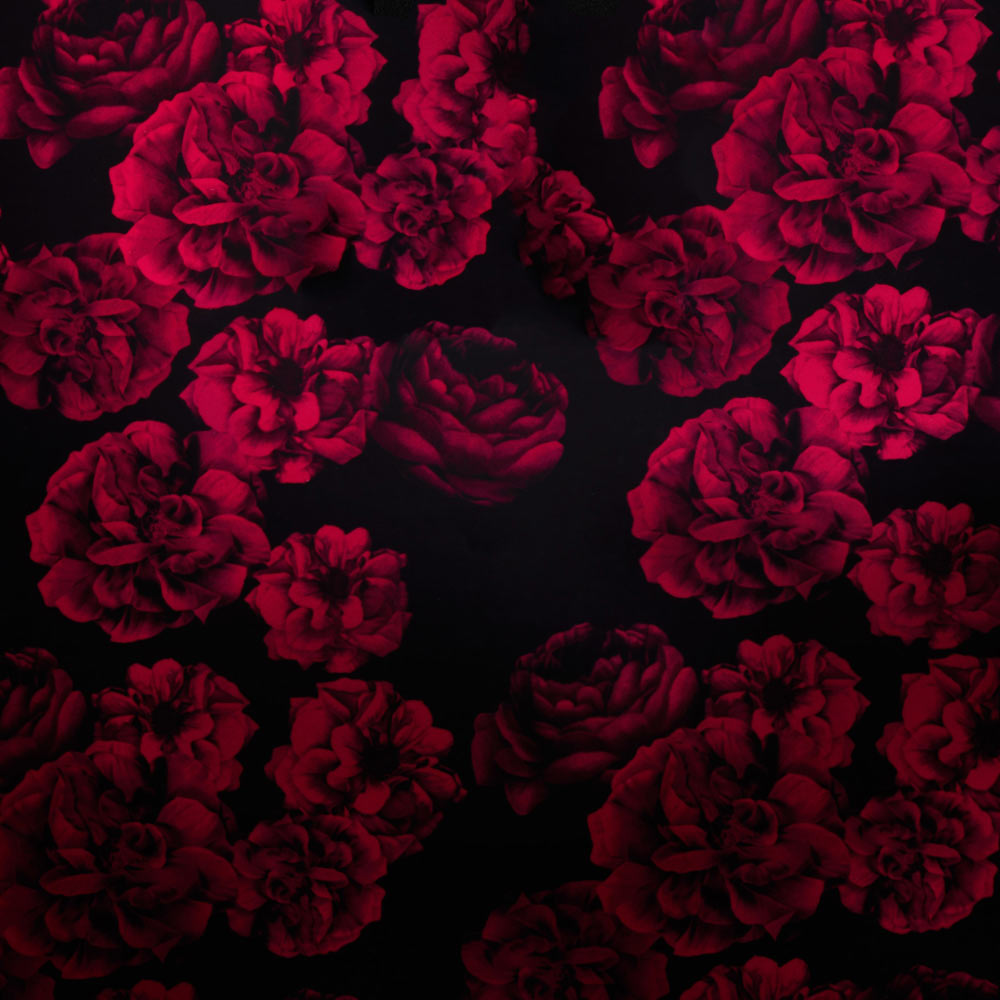 عطر ادکلن ولوت رز اند عود ریچ اکستریت جو مالون لاندن - Velvet Rose & Oud Rich Extrait Jo Malone London - بررسی، قیمت و خرید