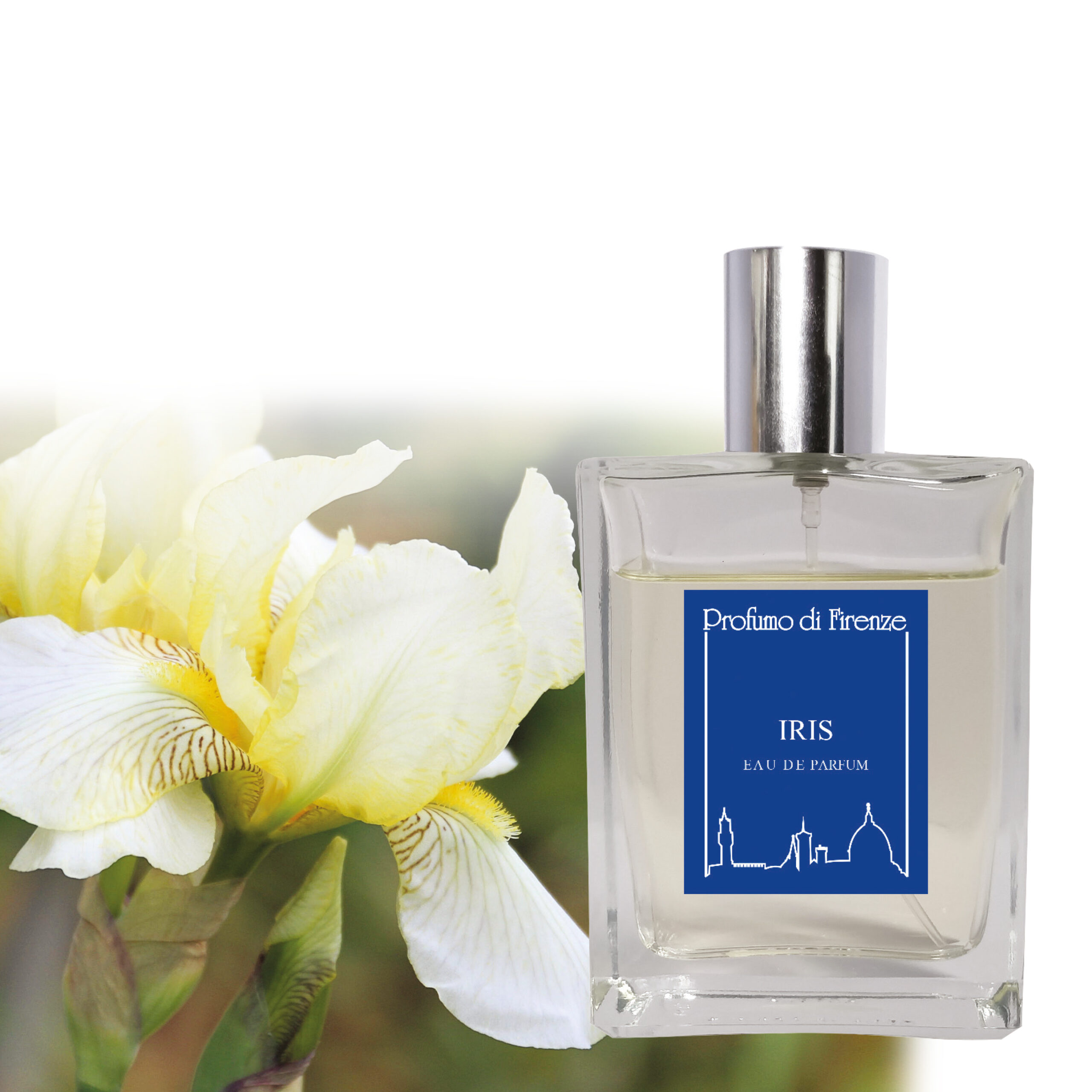 عطر ادکلن آیریس پروفومو دی فیرنز - Iris Profumo di Firenze - بررسی، قیمت و خرید