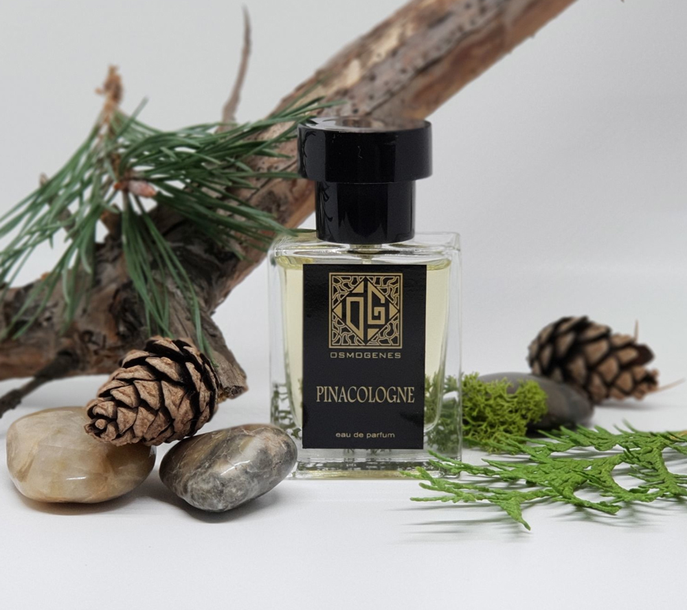 عطر ادکلن پیناکولون اوسموژنِس پرفیومز - Pinacologne Пинаколон OsmoGenes Perfumes - بررسی، قیمت و خرید