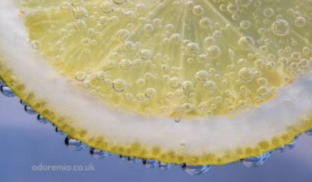عطر ادکلن وایلد کلون اودوره میو - Wild Cologne Odore Mio - بررسی، قیمت و خرید