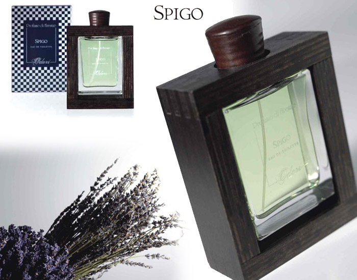 عطر ادکلن اسپیگو دوهزار و هشت اودوری - Spigo 2008 Odori - بررسی، قیمت و خرید