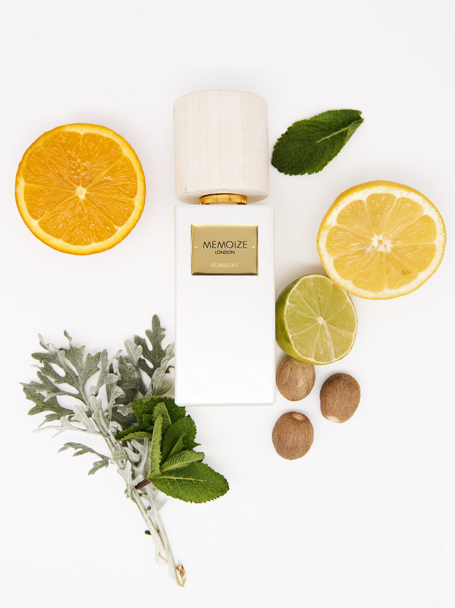 عطر ادکلن هومیلیتاس ممویز لاندن - Humilitas Memoize London - بررسی، قیمت و خرید