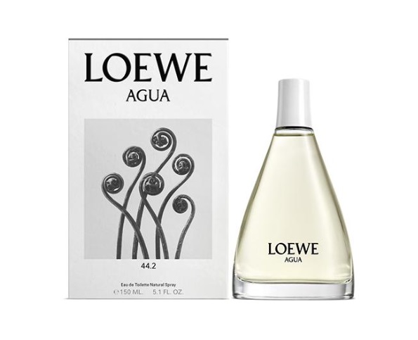 عطر ادکلن اگوا ۴۴.۲ لووه - Agua 44.2 Loewe - بررسی، قیمت و خرید