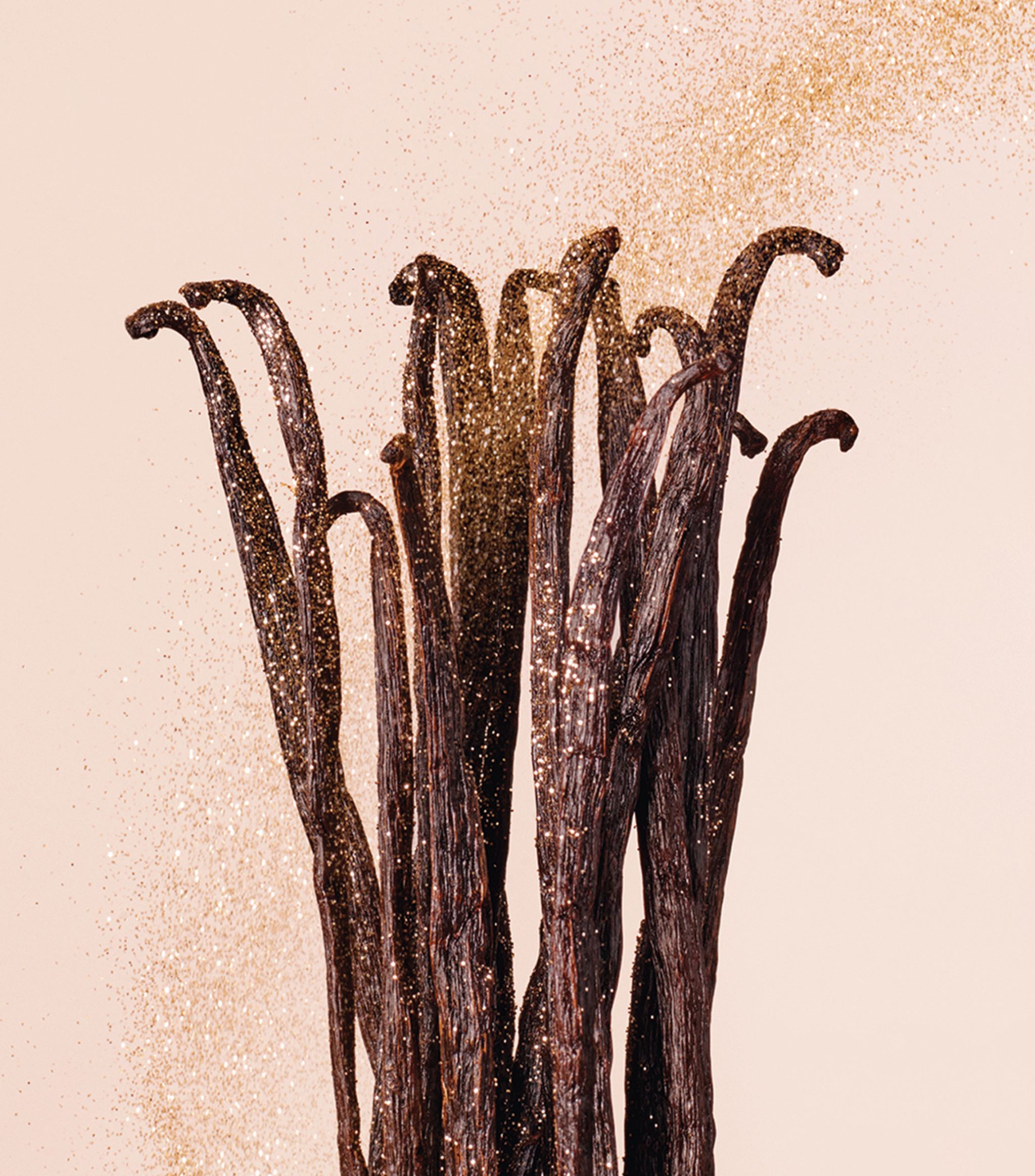 عطر ادکلن ونیا لاو جیمی چو - Vanilla Love Jimmy Choo - بررسی، قیمت و خرید