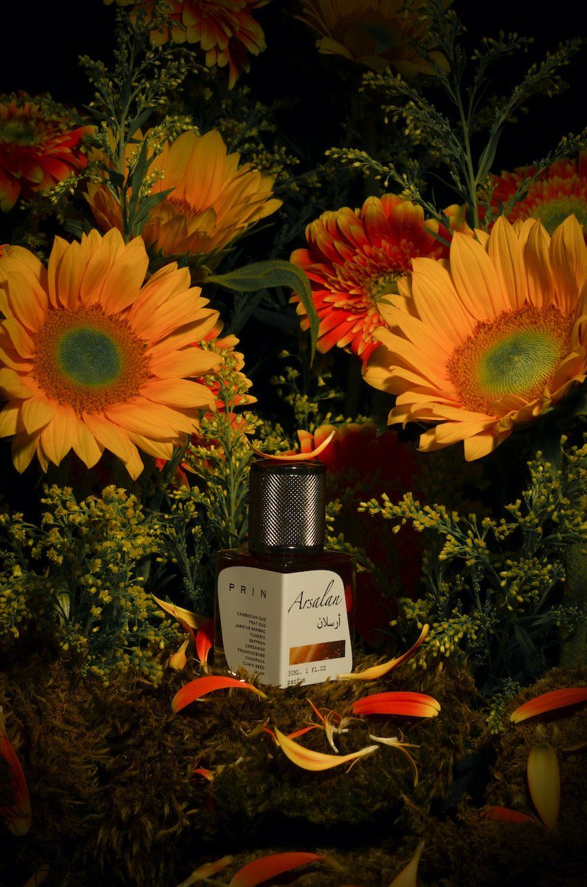 عطر ادکلن ارسلان پرین - Arsalan Prin - بررسی، قیمت و خرید