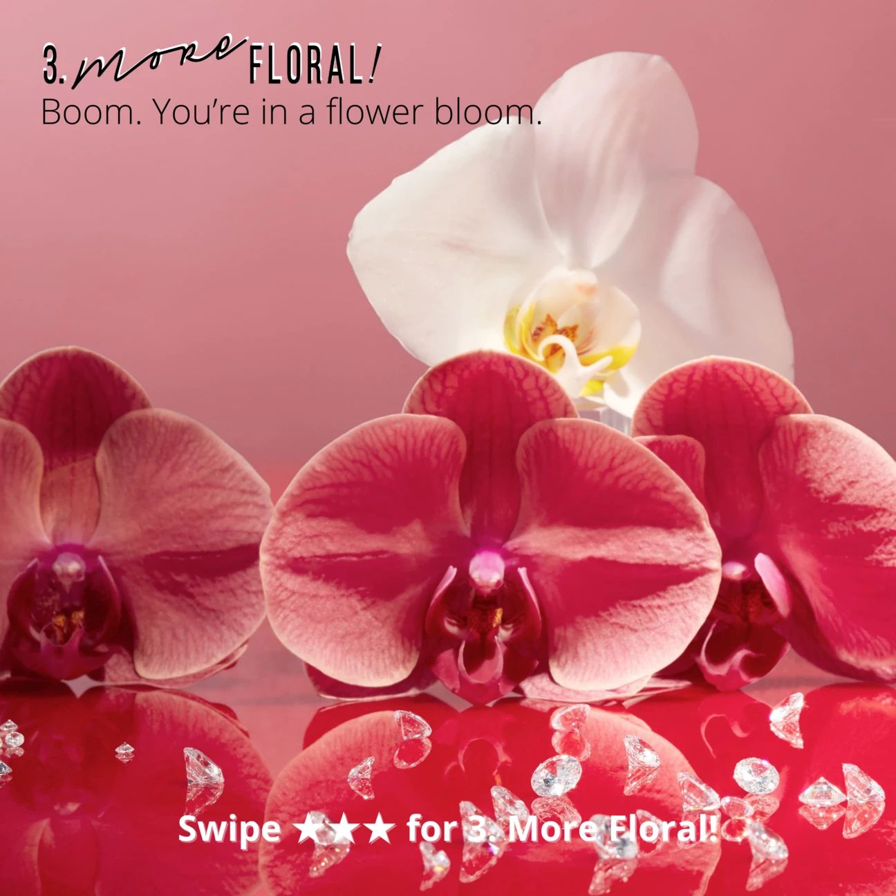 عطر ادکلن مور گورمند! جودیت لیبر - More Gourmand! Judith Leiber - بررسی، قیمت و خرید