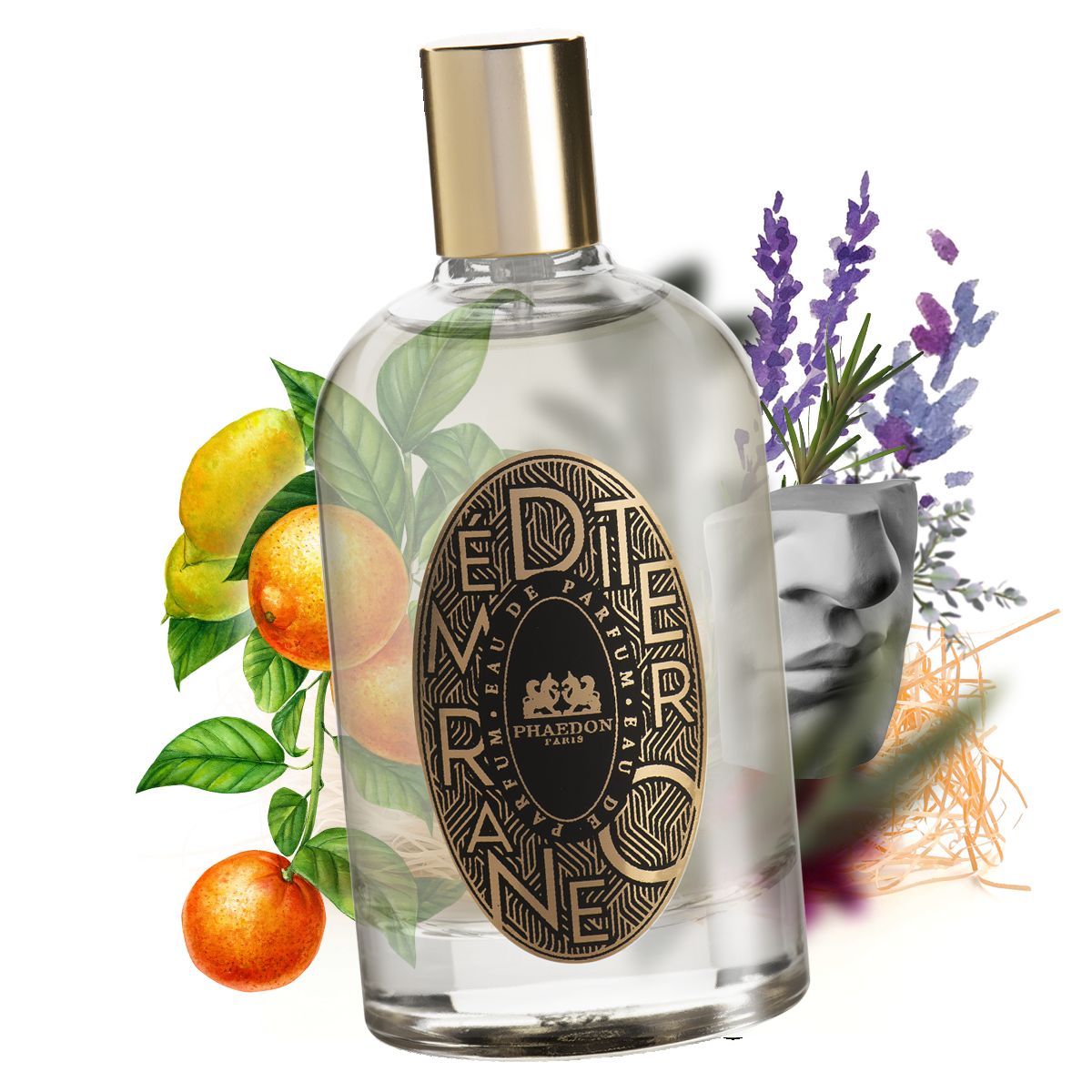 عطر ادکلن مدیترانهئو فایدون - Mediterraneo Phaedon - بررسی، قیمت و خرید