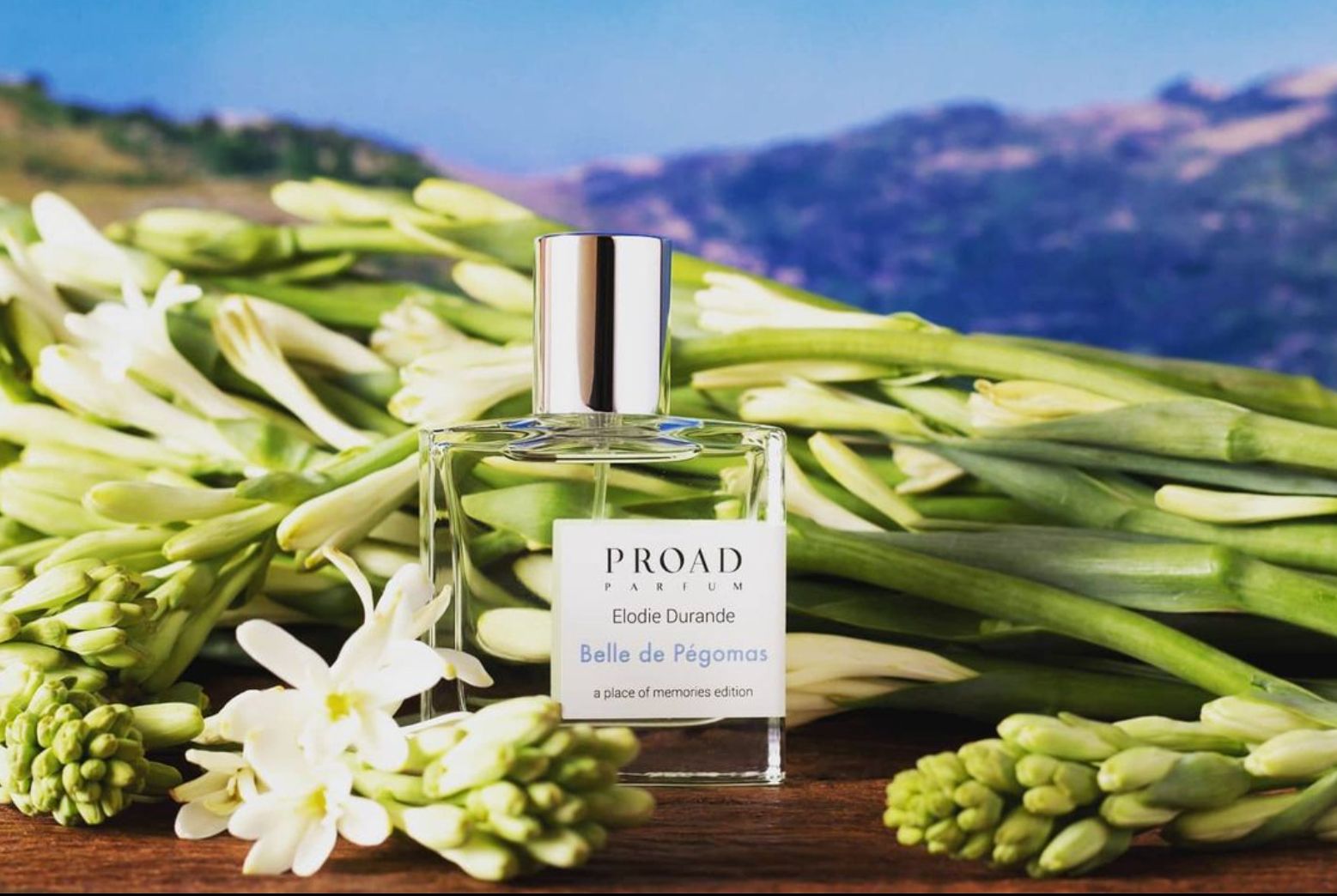 عطر ادکلن بل دو پگومس پرود - Belle De Pégomas Proad - بررسی، قیمت و خرید