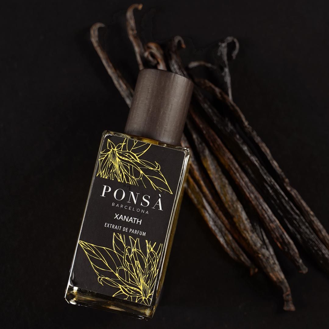 عطر ادکلن زنت پونسا - Xanath Ponsa - بررسی، قیمت و خرید
