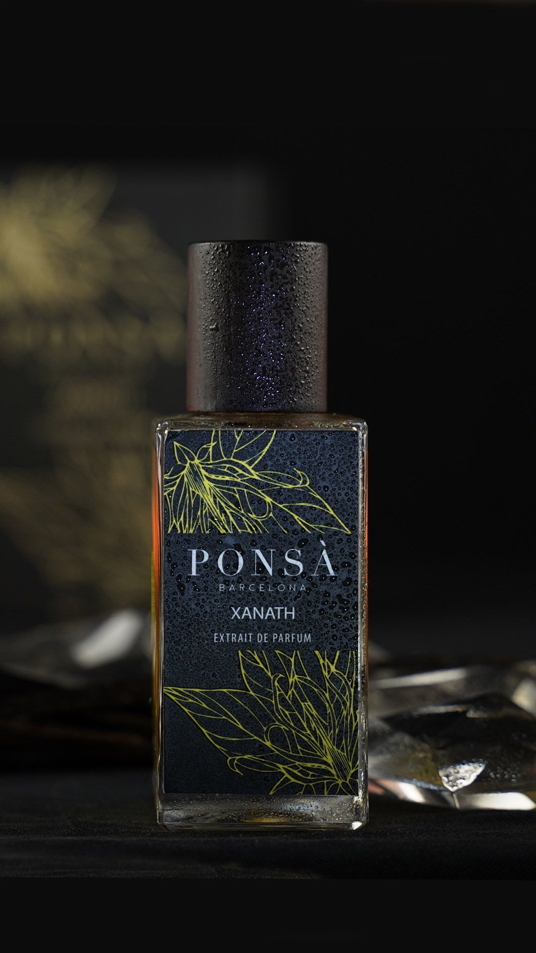 عطر ادکلن زنت پونسا - Xanath Ponsa - بررسی، قیمت و خرید