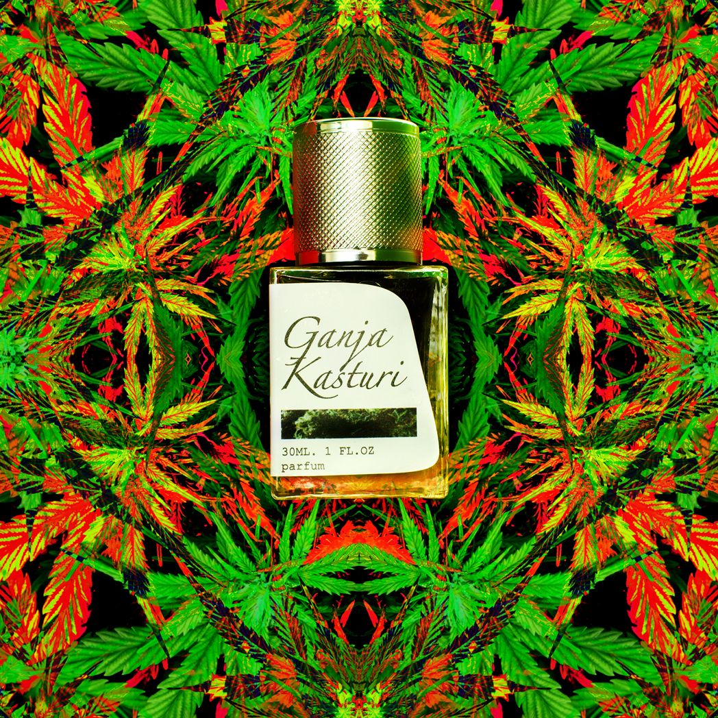 عطر ادکلن گانجا کاستوری پرین - Ganja Kasturi Prin - بررسی، قیمت و خرید