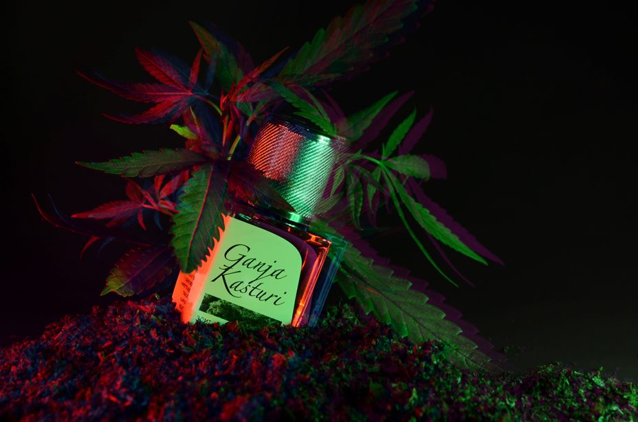 عطر ادکلن گانجا کاستوری پرین - Ganja Kasturi Prin - بررسی، قیمت و خرید