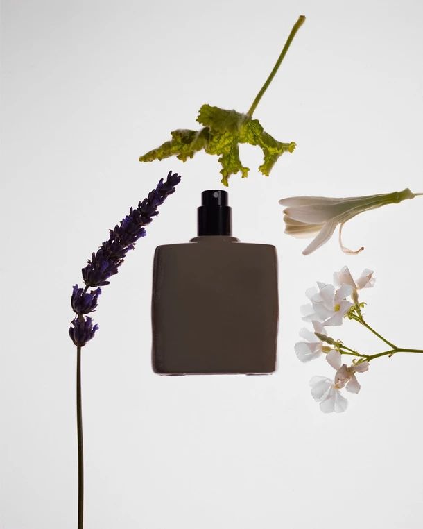 عطر ادکلن نود سویید کی‌کی‌دبلیو فرگرنس - Nude Suede KKW Fragrance - بررسی، قیمت و خرید