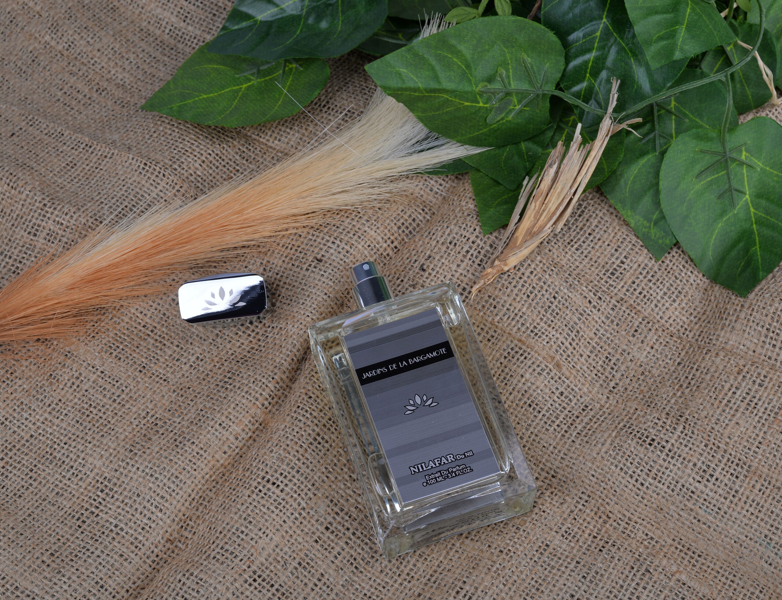 عطر ادکلن ژاردن دِ لا بارگاموت نیلوفر دو نیل - Jardins de la Bargamote Nilafar du Nil - بررسی، قیمت و خرید