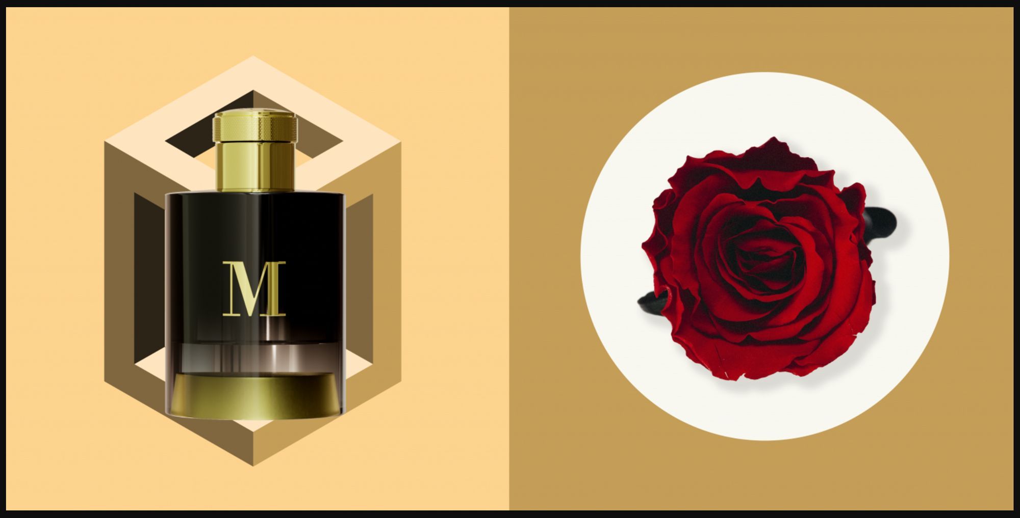 عطر ادکلن پانتیون ام پانتئون روما - Pantheon M Pantheon Roma - بررسی، قیمت و خرید