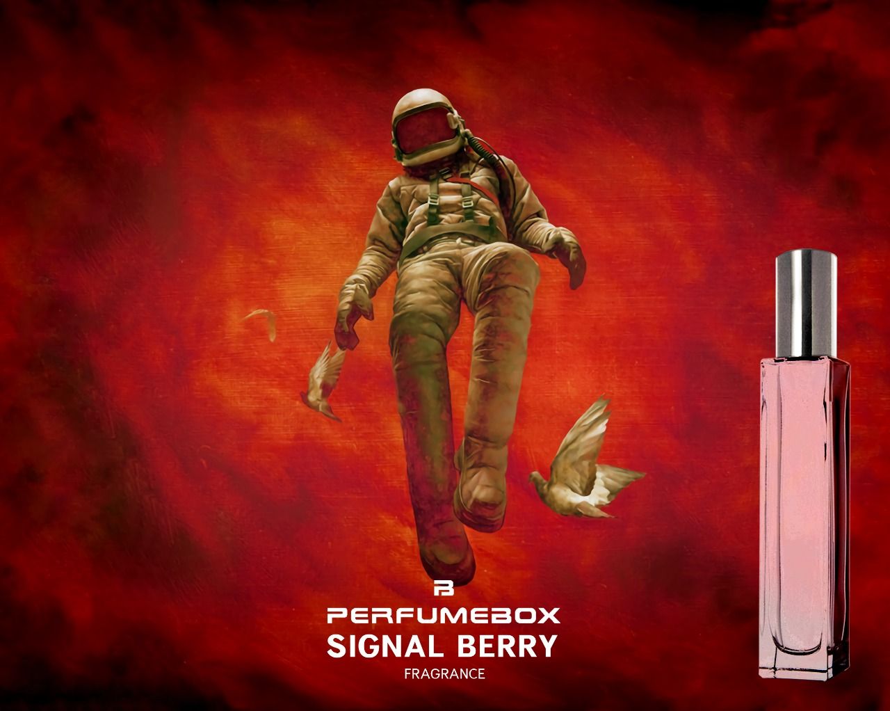 عطر ادکلن سیگنال بری پرفیوم باکس - Signal Berry PerfumeBox - بررسی، قیمت و خرید