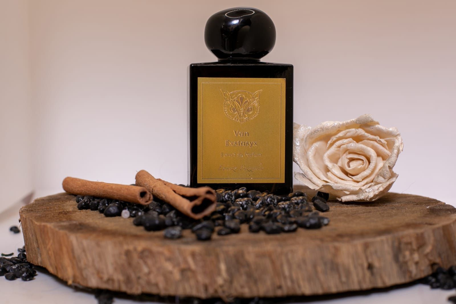 عطر ادکلن ون اکس تا سی اکس لورنتزو پاختزالیا - Van Exstasyx Lorenzo Pazzaglia - بررسی، قیمت و خرید
