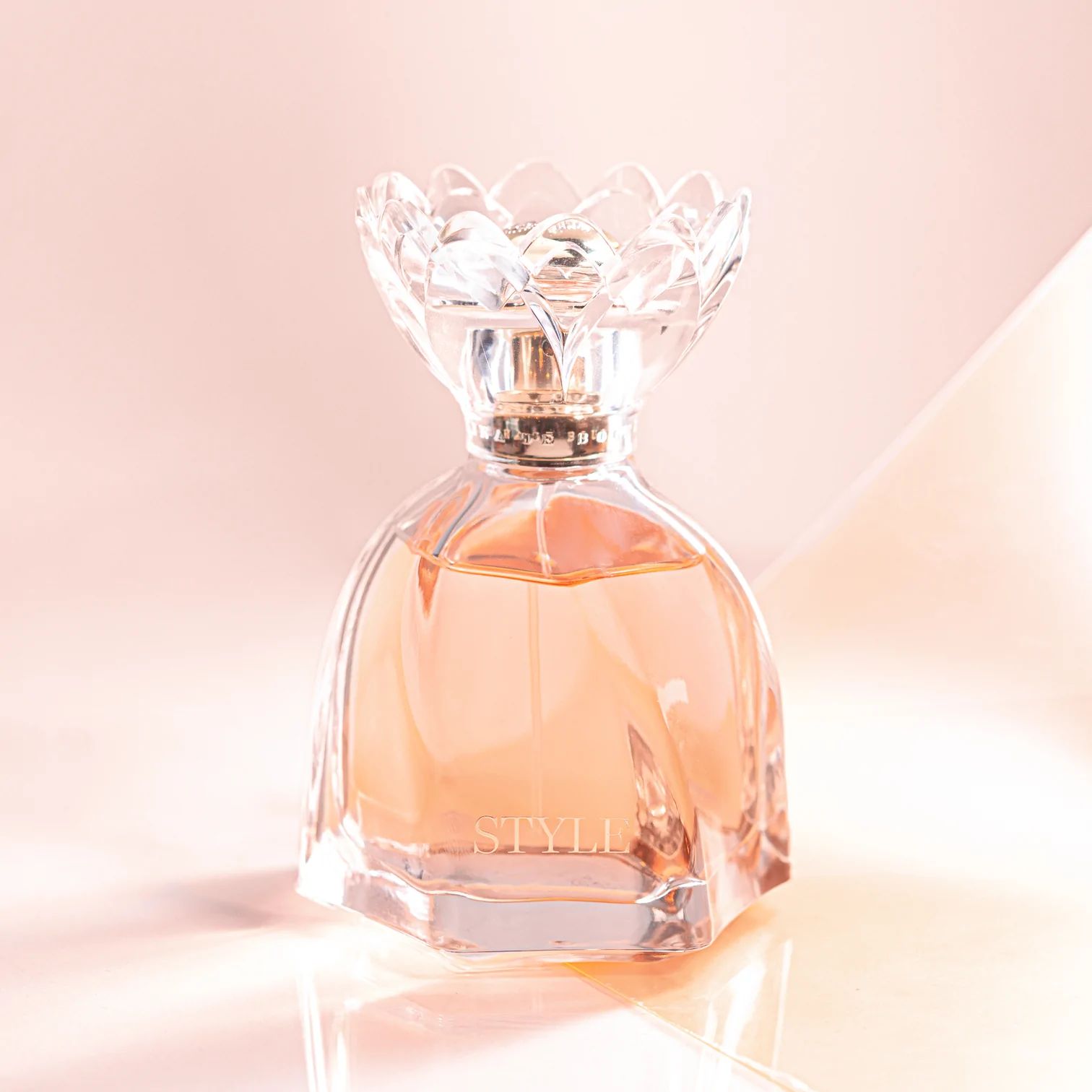 عطر ادکلن رویال استایل پرنسس مارینا دی بوربون - Royal Style Princesse Marina De Bourbon - بررسی، قیمت و خرید