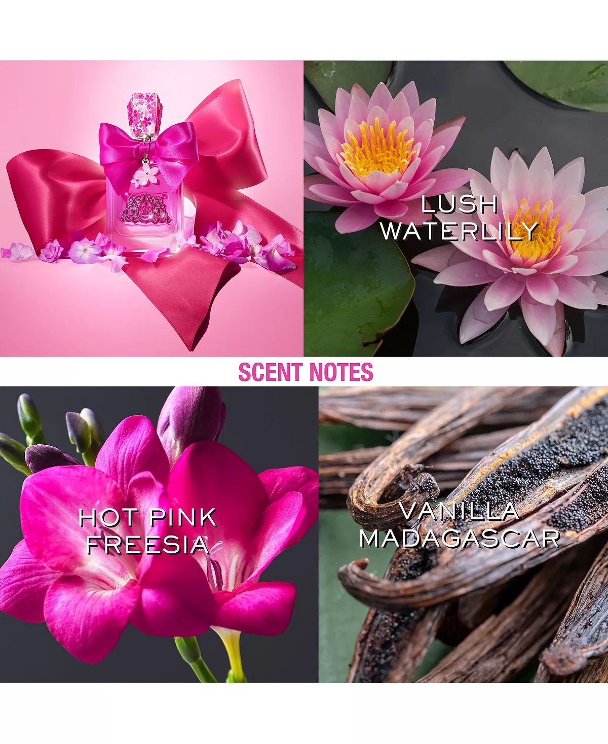 عطر ادکلن ویوا لا جویسی پتالز پلیز جوسی کوتور - Viva La Juicy Petals Please Juicy Couture - بررسی، قیمت و خرید