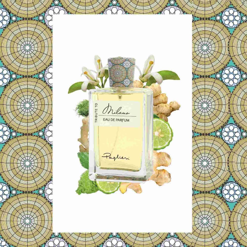 عطر ادکلن تریبیوت تو میلانو پالیری - Tribute To Milano Paglieri - بررسی، قیمت و خرید