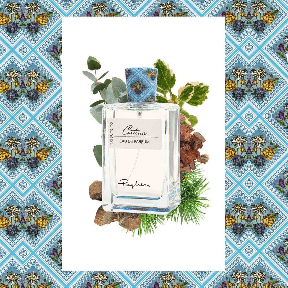 عطر ادکلن تریبیوت تو کورتینا پاگلری - Tribute To Cortina Paglieri - بررسی، قیمت و خرید