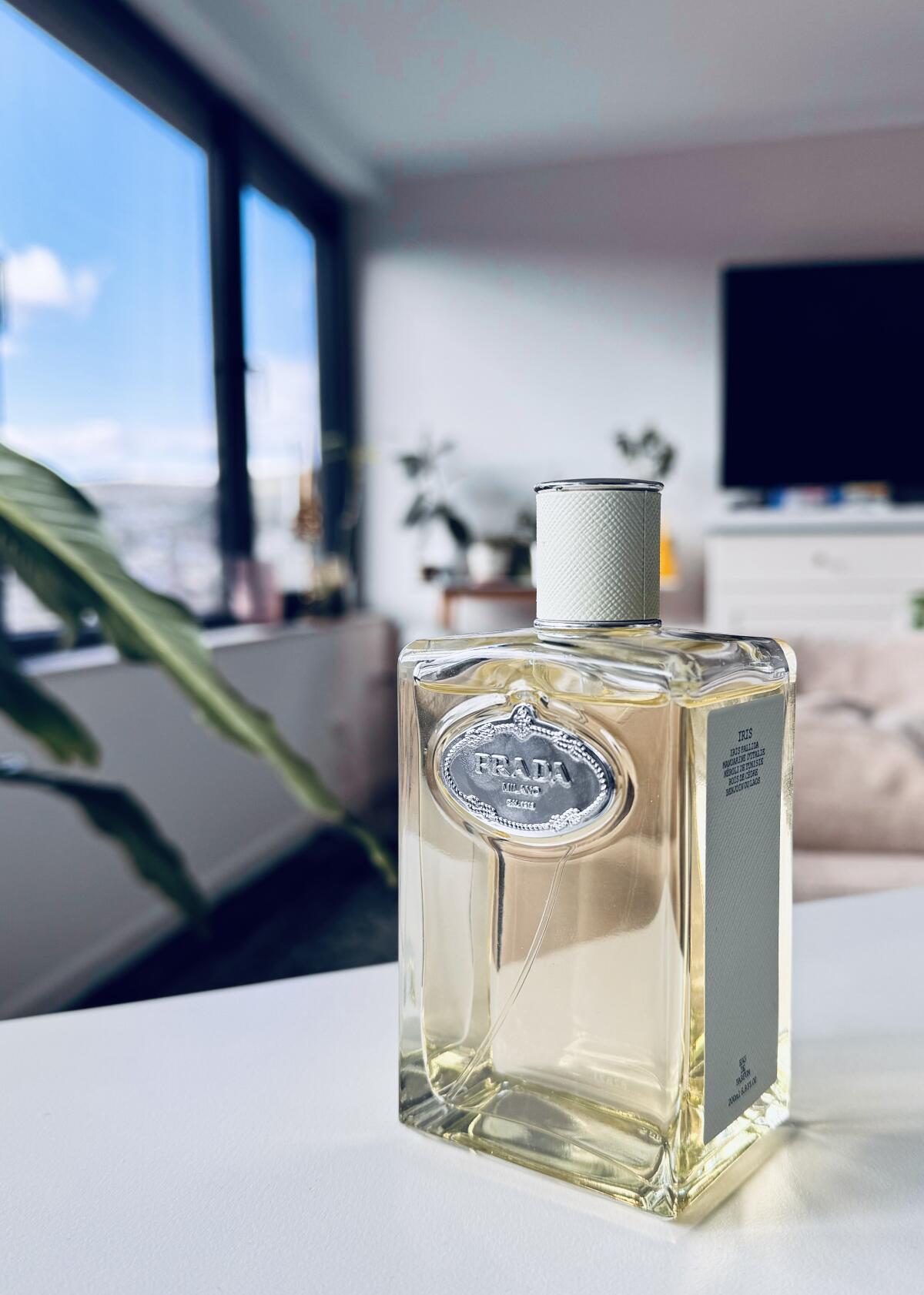 عطر ادکلن اینفیوژن دی آیریس پرادا - Infusion d'Iris Prada - بررسی، قیمت و خرید