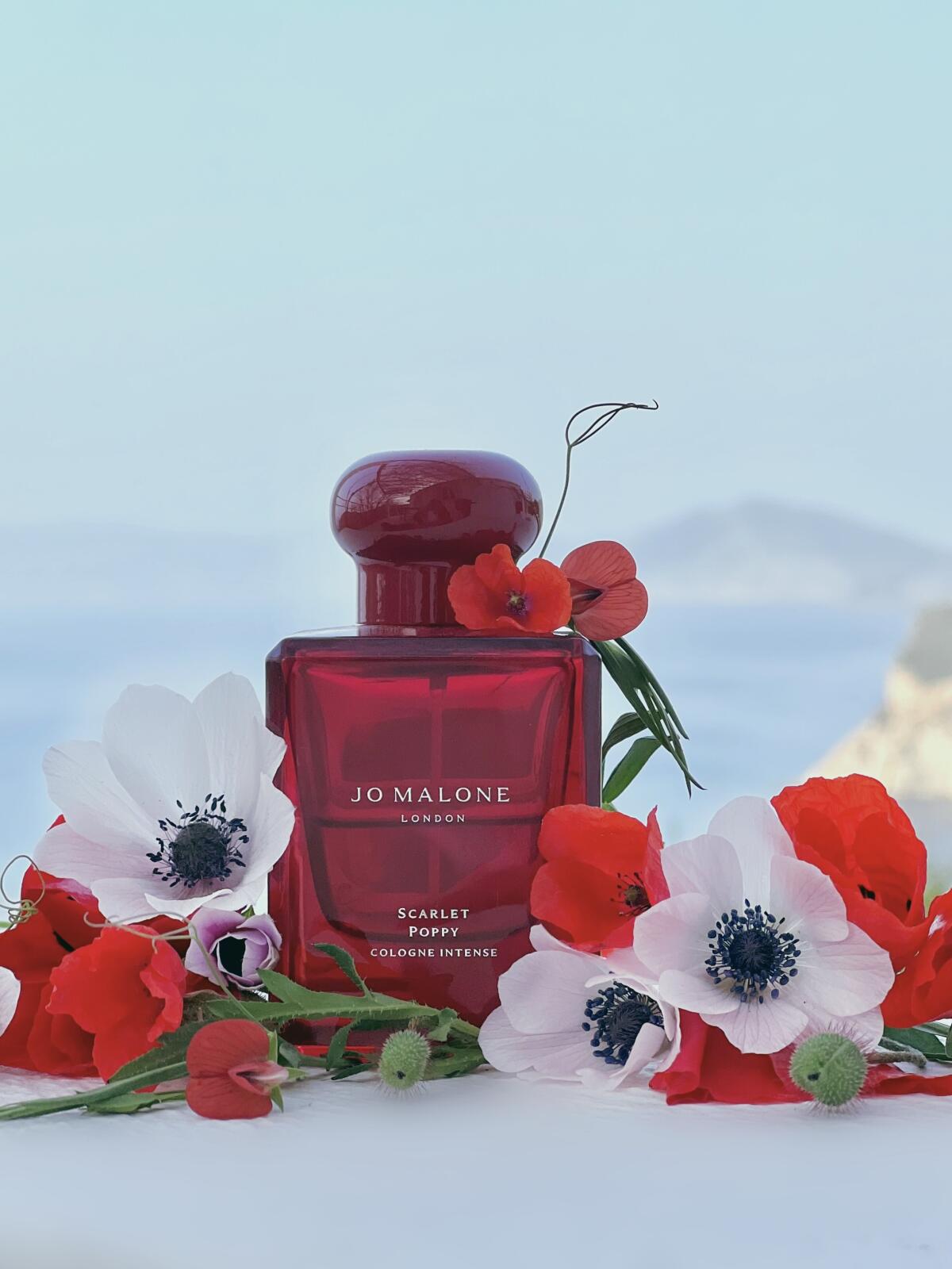 عطر ادکلن اسکارلت پاپی اینتنس جو مالون لندن - Scarlet Poppy Intense Jo Malone London - بررسی، قیمت و خرید