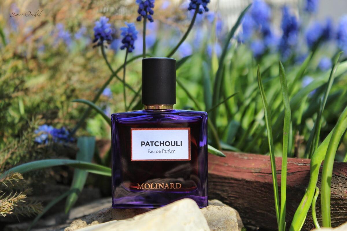 عطر ادکلن پچولی ادو پرفیوم مولینارد - Patchouli Eau de Parfum Molinard - بررسی، قیمت و خرید