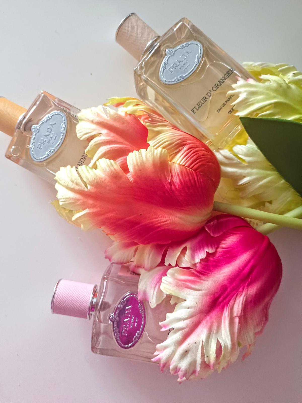 عطر ادکلن اینفیوژن ماندارین پِرادا - Infusion Mandarine Prada - بررسی، قیمت و خرید