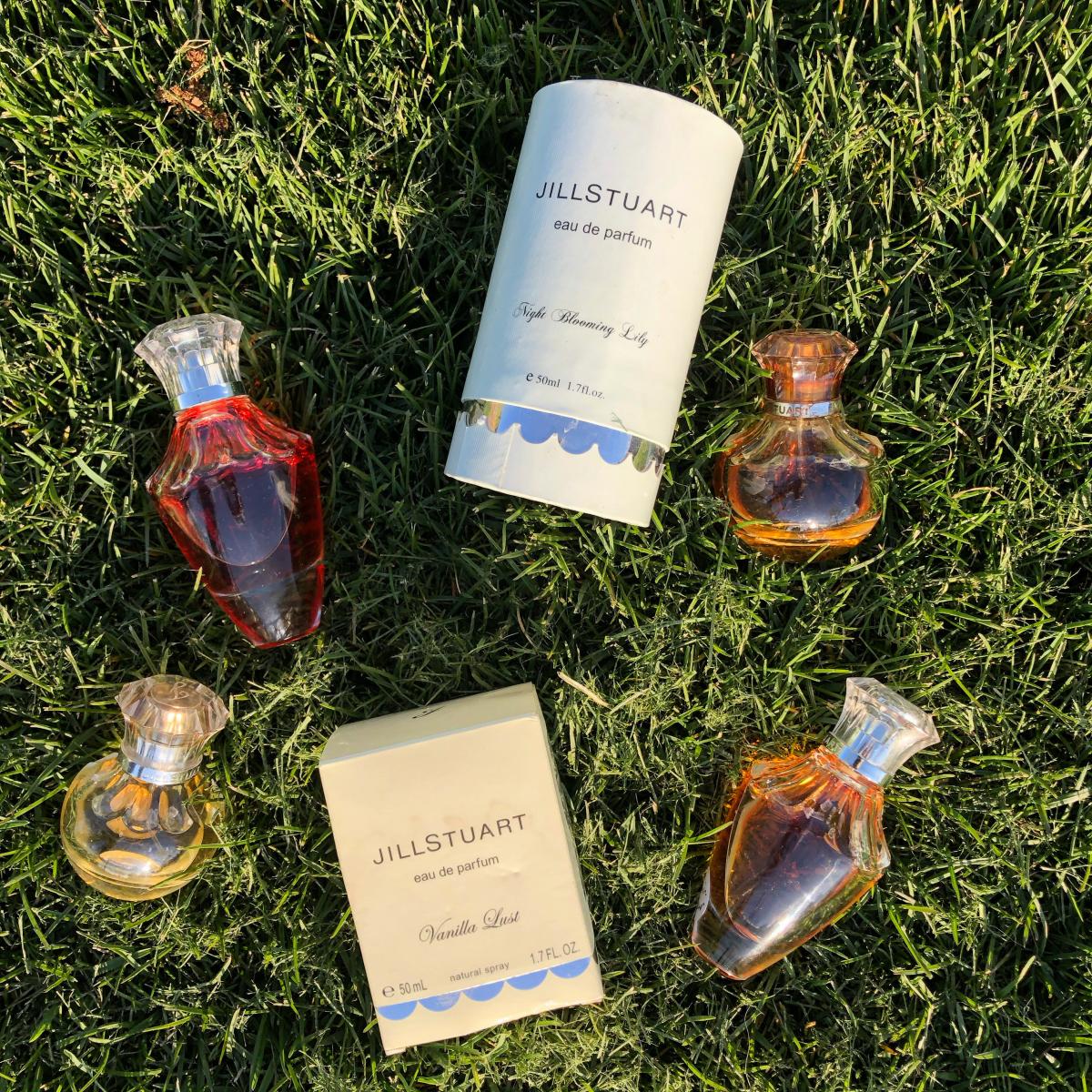 عطر ادکلن وانیلا لاست جیل استوارت - Vanilla Lust Jill Stuart - بررسی، قیمت و خرید